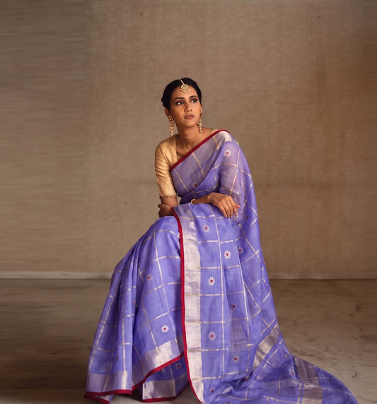 Graceful Chanderi Katan Organza Silk Saree With Checks Ghani Butti & Silver Zari