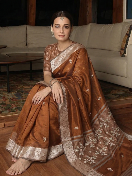 Regal Soft Tissue Banarasi Silk Saree With Handcrafted Zardozi Floral Border