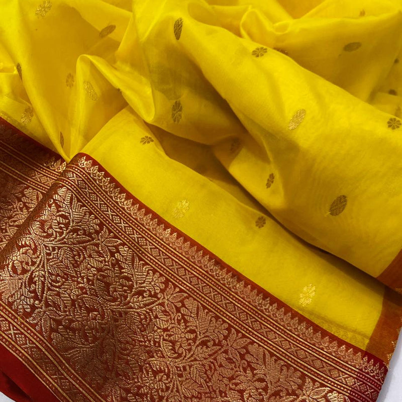 Chanderi Handloom Katan Organza Pure Silk Saree with Ghani Butti and Jakad Nakshi Border