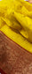 Chanderi Handloom Katan Organza Pure Silk Saree with Ghani Butti and Jakad Nakshi Border