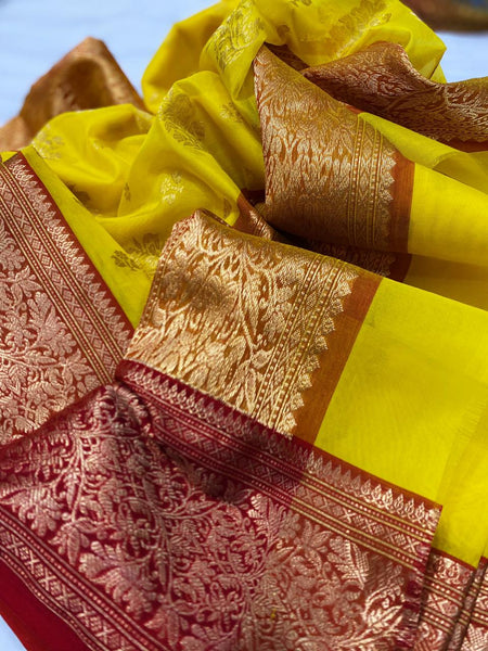 Chanderi Handloom Katan Organza Pure Silk Saree with Ghani Butti and Jakad Nakshi Border