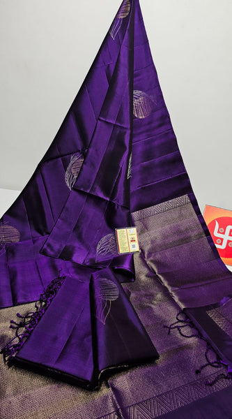 Pure Handloom Double Warp Kanchi Silks with Silver & Gold Zari Work
