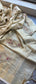 Tissue Linen Banarasi Silk Saree with Zardozi & Pearl Work
