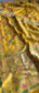 Khaddi Georgette Silk Saree with Meena Bandhani Weave