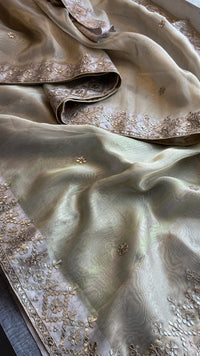 Soft Tissue Banarasi Silk Saree with Gotapatti Detailing