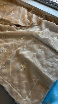 Soft Organza Saree with Zardozi & Pearl Hand Embroidery
