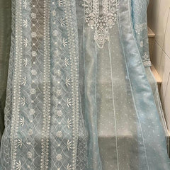 Pure Organza Anarkali Set with Pearl, Sequin & Katdana Work