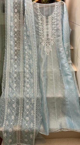 Pure Organza Anarkali Set with Pearl, Sequin & Katdana Work