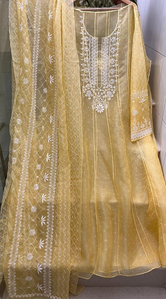 Pure Organza Anarkali Set with Pearl, Sequin & Katdana Work