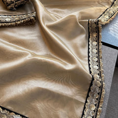 Pure Tissue Handloom Silk Saree with Elegant Border Concept Design