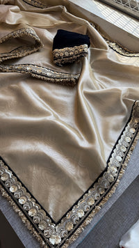 Pure Tissue Handloom Silk Saree with Elegant Border Concept Design