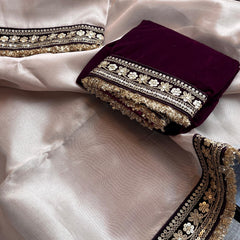 Pure Tissue Handloom Silk Saree with Elegant Border Concept Design