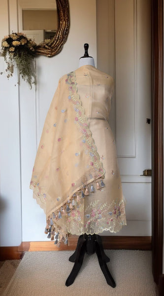 Banarasi Organza Chanderi Silk Embroidered Suit with Hand Abla Work