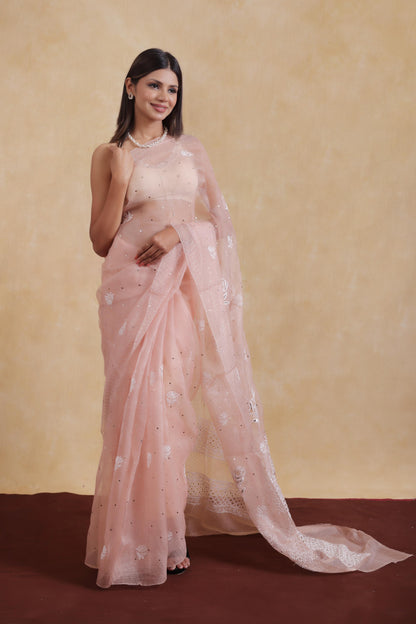 Chikankari And Mukesh On Organza Silk · 48 Artisan Hours of work · The Resham Adaa Edit