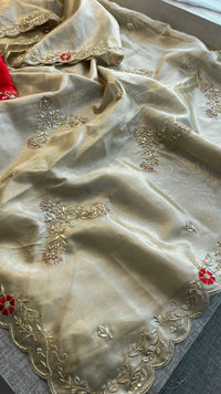 Pure Soft Tissue Silk Saree with Red Velvet Blouse and Zardozi Hand Embroidery