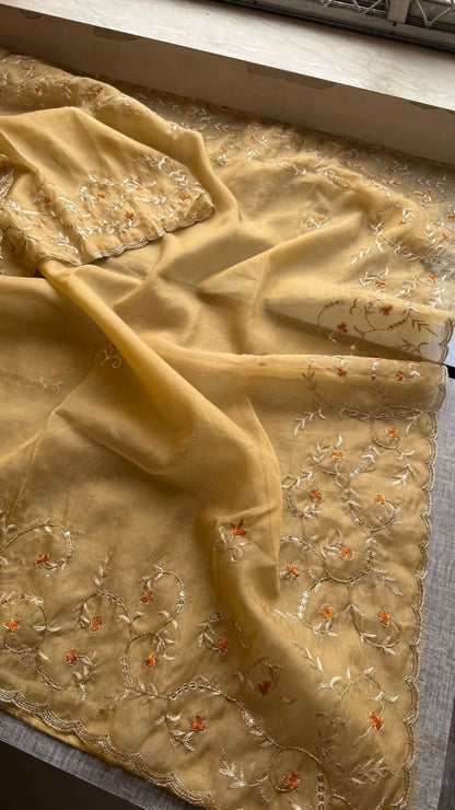 Floral Resham Embroidery On Soft Tissue Organza Silk · 32 Artisan Hours of work · The Noor Edit